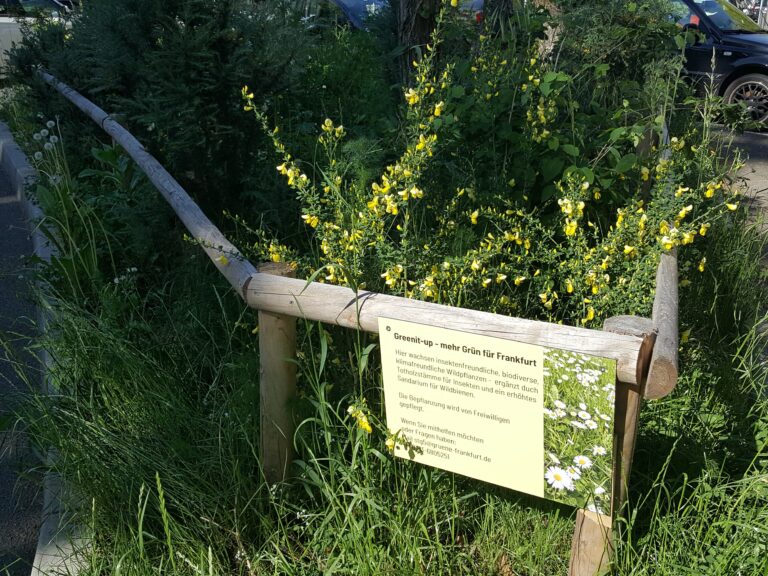 Unser „Beet“ in der Mörfelder Ende April